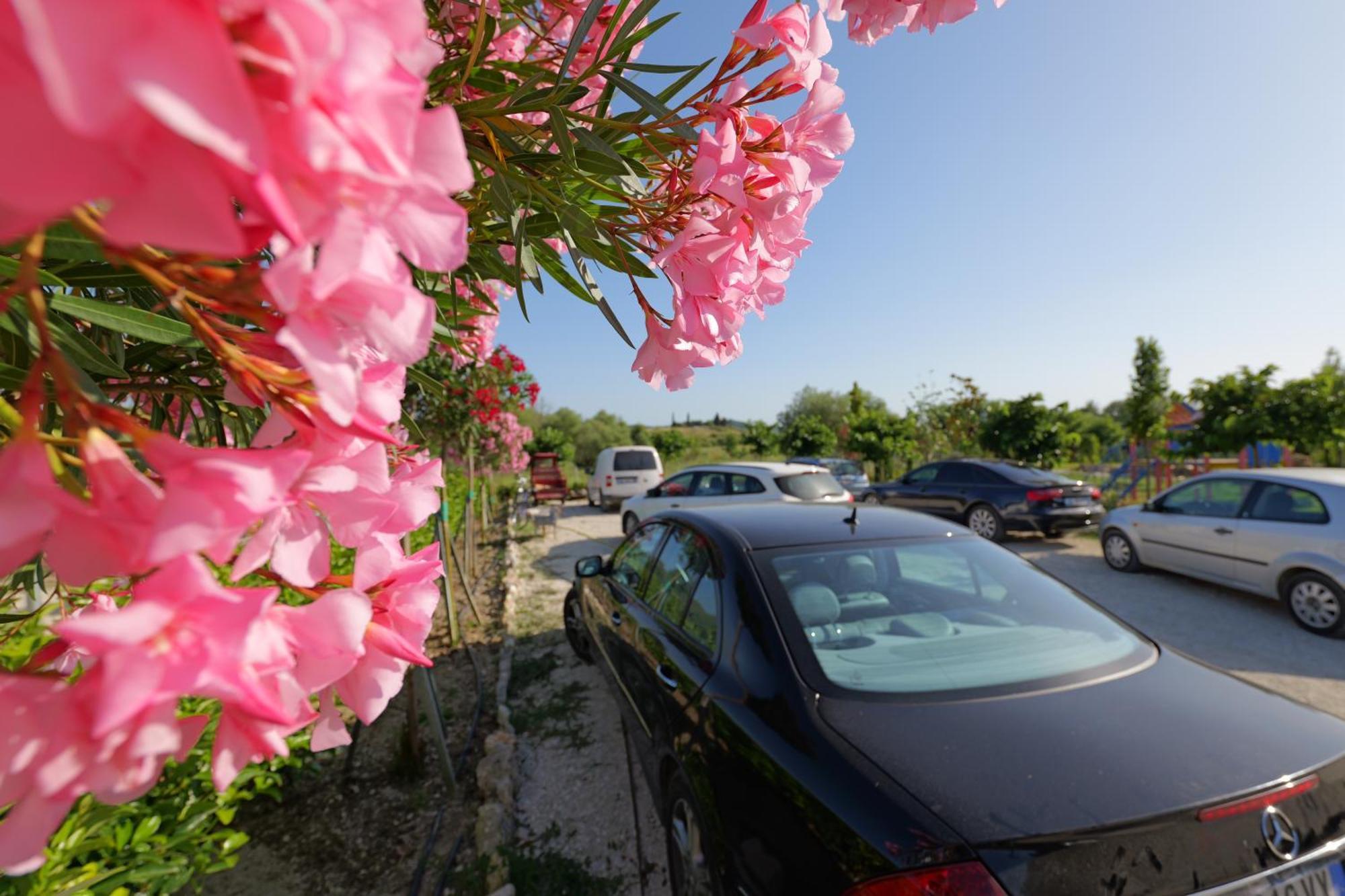 Mesopotam Agrotourism Resort Sarandë Exteriör bild