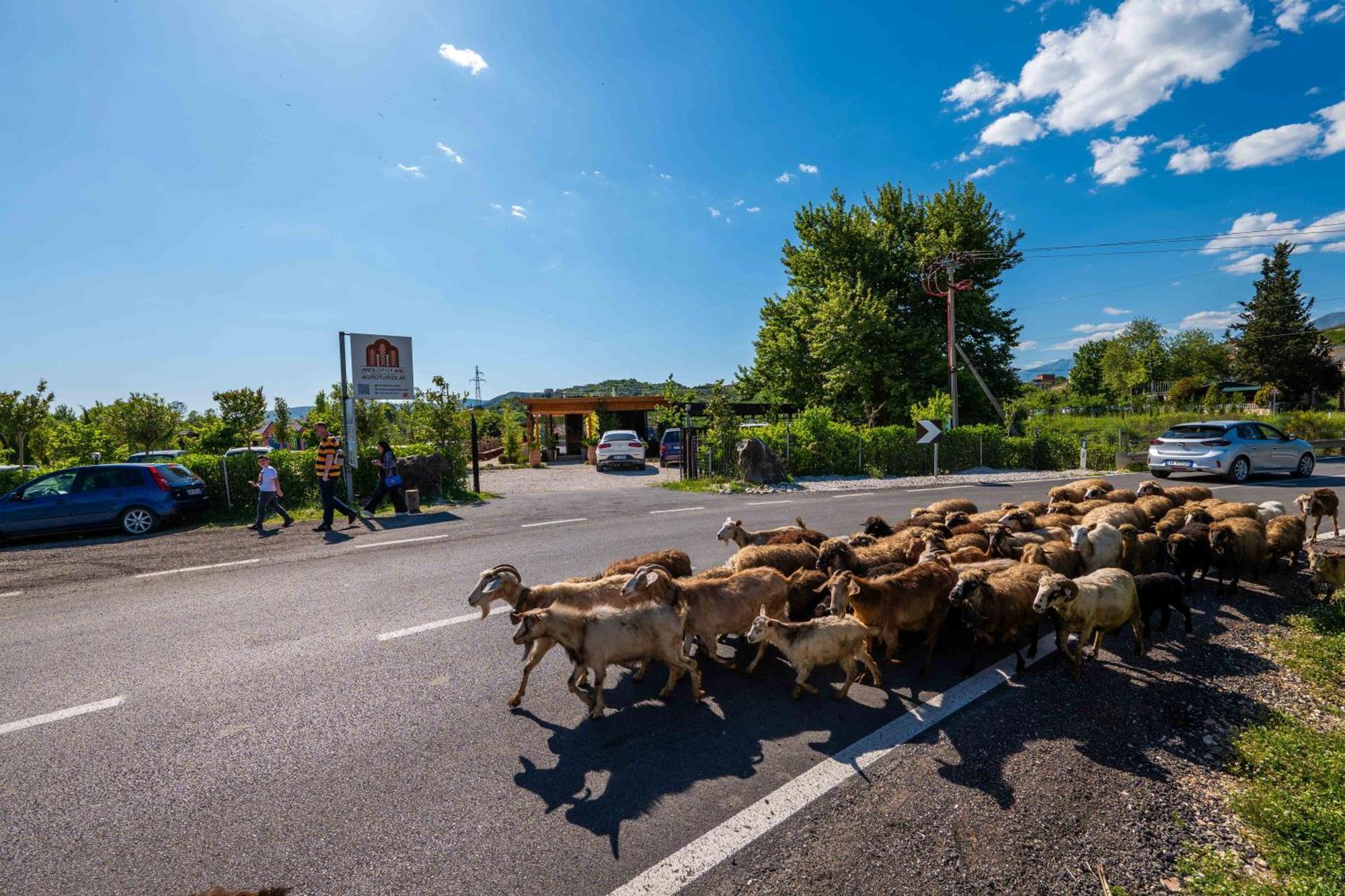 Mesopotam Agrotourism Resort Sarandë Exteriör bild